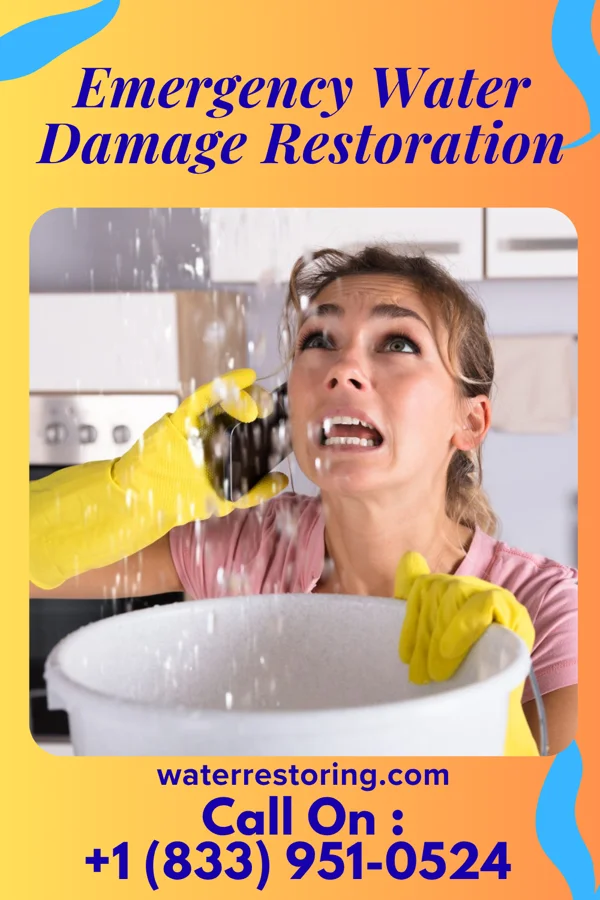 Emergency Water Damage Restoration in Shady Shores, TX