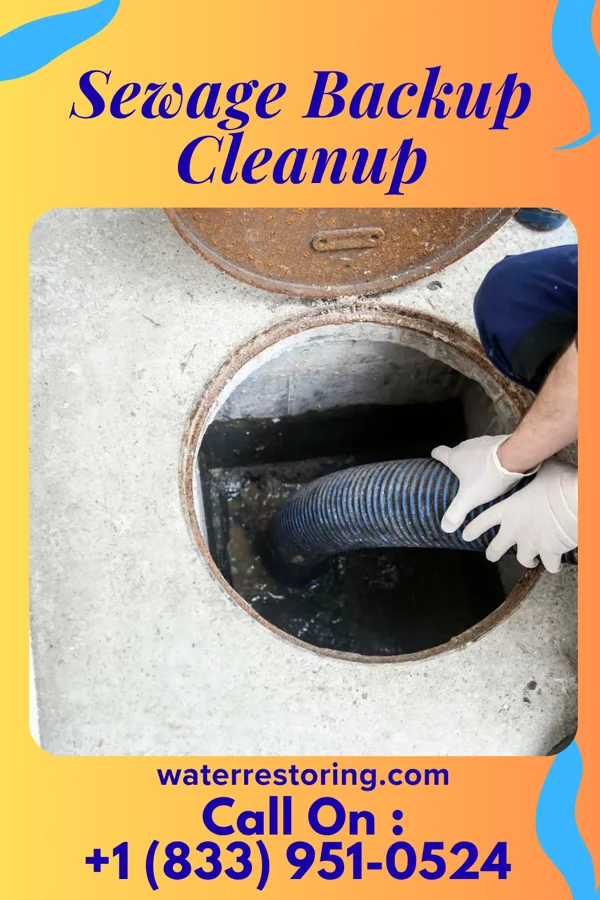 Sewage Backup Cleanup in Shady Shores, TX