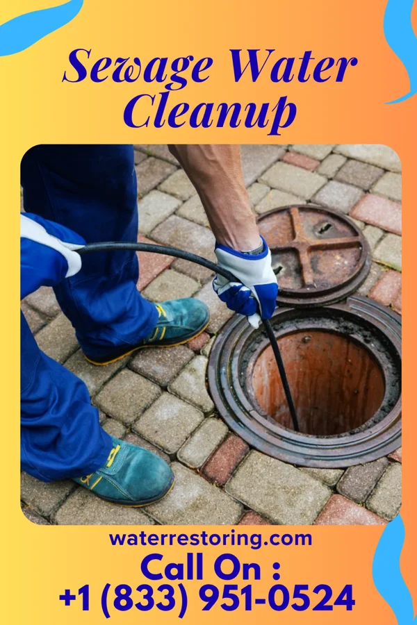 Sewage Water Cleanup in Shady Shores, TX